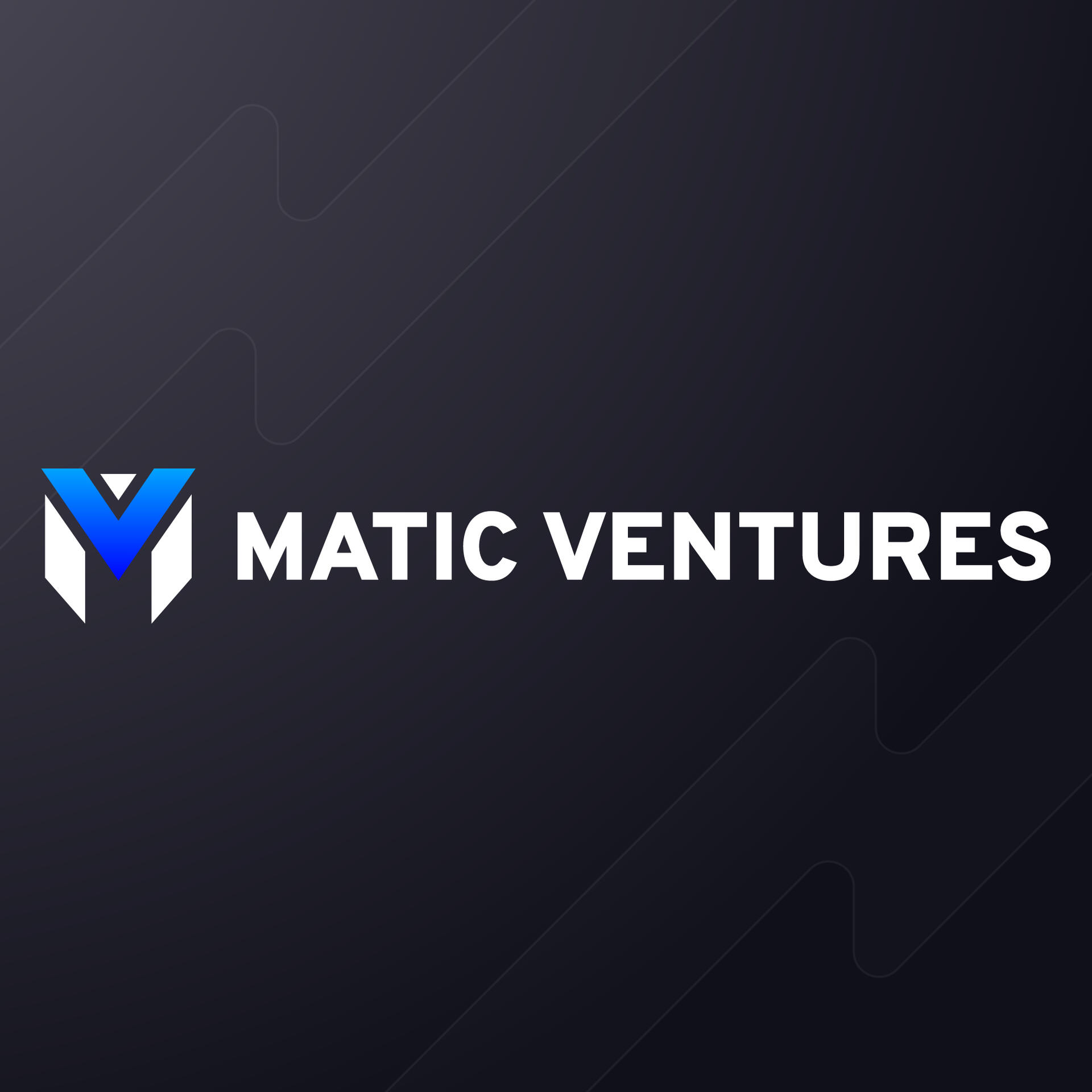 Matic Ventures Brand Design